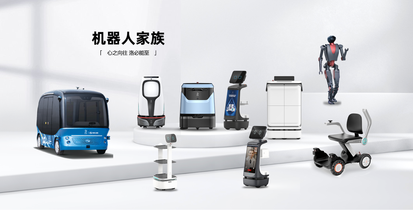 百乐森林舞会(中国游)官方网站